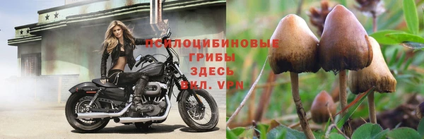 шишки Алзамай