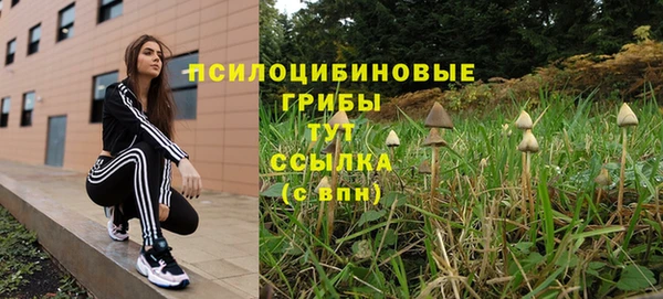 шишки Алзамай