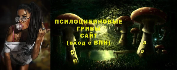 PSILOCYBIN Алексин