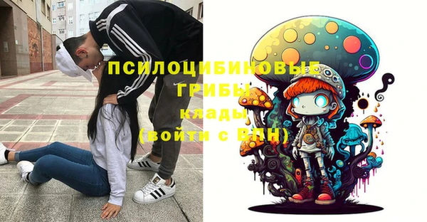 PSILOCYBIN Алексеевка