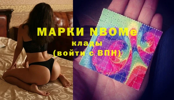 шишки Алзамай