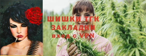 шишки Алзамай