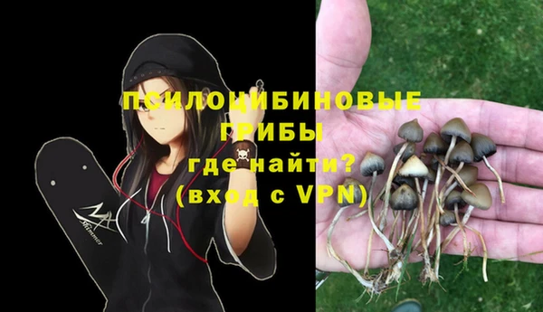 крисы Абдулино